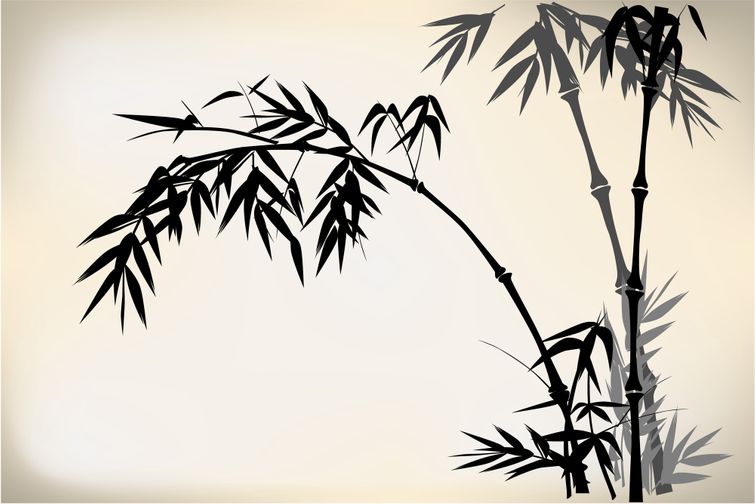 Black illustration of healthy bamboo plants